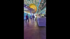 Minion mascot charges through amusement park in China