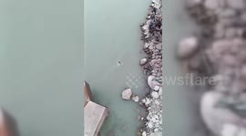 Pakistan: 22 people killed after wedding bus plunges into river in Pakistan