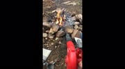 temp