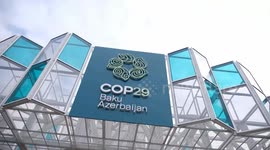 Azerbaijan: COP29 participants praise China's cooperative approach to combating climate change