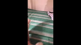 Cat voluntarily enters a plastic bag and lies down calmly