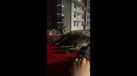 Cat playfully paws at camera after being disturbed