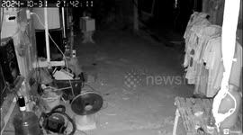 Resident saves pet dog from being eaten by huge python