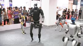 Portugal: Humanoid robots shine at Web Summit 2024, shaping future of automation