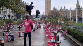Plant pots are placed at Parliament Square to raise awareness for the controversial assisted dying bill in the UK