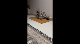 Kitten Has His Own Bathroom Decor