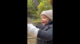 High-Fives for Hikers! 

“Dear National Park Service, she’s ready for her official post as the park hype girl.”

Zion National Park, Utah