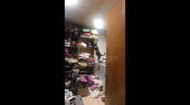 Cat knocks clothes off shelf