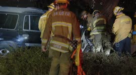 US, Los Angeles: Hawthorne Person Trapped After Crashing Into Tree