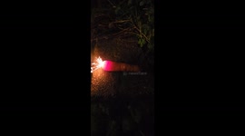 The sparkler through the food challenge. Will the carrot defeat the sparkler? A science experiment in the garden with my daughter to find out if any food can stop the sparkler from passing through it!