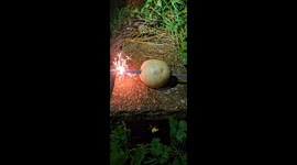 The sparkler through the food challenge. Will the potato defeat the sparkler? A science experiment in the garden with my daughter to find out if any food can stop the sparkler from passing through it!