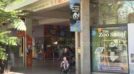 Australia: Beloved giant pandas depart Australia for China after 15-year stay at Adelaide Zoo