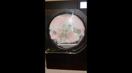 Candy explosion in freeze dryer leads to sticky cleanup