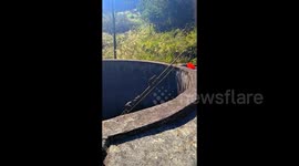 Chinese villagers use bamboo to help trapped monkeys escape empty pool