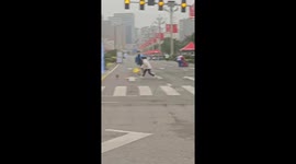 Four-legged athlete: Canine runner captivates crowd at Sichuan Marathon