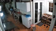 temp