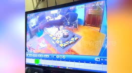 Monkey escapes cage and breaks into rescuer's room to attack her