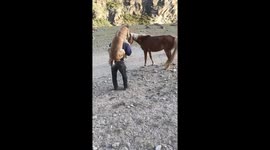 Farmer carries pony on his back