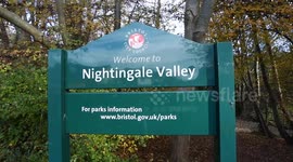 £350k property has 100-year-old flytip waste that will 'cost million to clear'