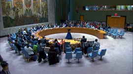 US: Any UN Security Council action must respect Sudan's sovereignty