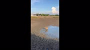 temp