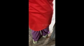 Monitor lizard removed from home in Indonesia