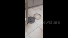 Lebanon: Damage to Tebnin Hospital after Israeli raid