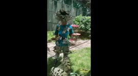 Dozens of butterflies gather around child like a scene from a Disney film