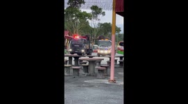 Two captive elephants tenderly touch their trunks across gap between their lorries