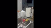temp