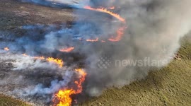 Portugal: Pilot Portuguese program uses goats to prevent wildfires