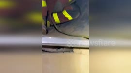 Spain: Firefighters Rescue Dog Trapped in 30-Meter Collector in Quart de Poblet