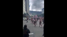 Protest against controversial bill ends with Hīkoi in Wellington, New Zealand