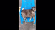 temp