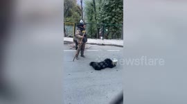 Out hunting for food, wild bear gets its head stuck in container; rescued after marathon operation