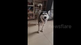 China: Slipper When Sneezing