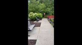 Fountain and Beautiful Scenery at The Culinary Institute of America in Poughkeepsie, New York