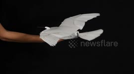 Robot bird that flies without tailfin 'could revolutionise aviation'