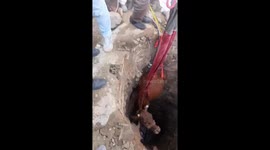 Cow rescued from well in Upper Dir, Pakistan