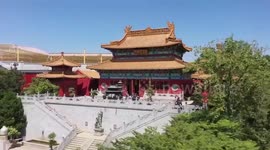 Giant pandas deeply cherished by fans at Belgian zoo