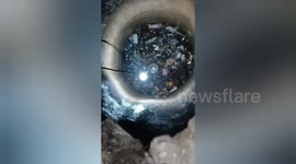 Social organisation resqued a puppy fell into a well in Shahdol, Madhya Pradesh