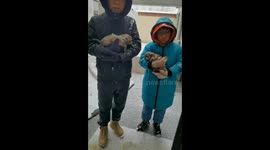 Father and son rescue puppies in snowy China