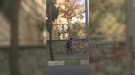 Iran: Iranian Woman Scrawls Anti-Regime Graffiti