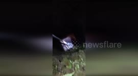 Honduras: Child Pulled from Artesanal Well in Tatumbla