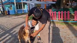 Volunteers rescue stray dog with mouth pierced by wooden skewer