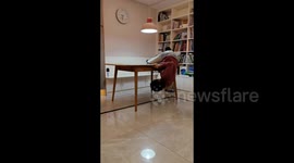 Chinese mother practices climbing over tables at home