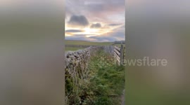 'Big cat’ sighting in remote beauty spot