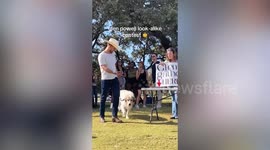 Glen Powell lookalike contest champion wins cameo for parents in next film