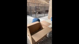 Exclusive- 87-year-old tortoise prepares for winter slumber