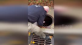 Raccoons rescue from flooded drains in Rhode Island